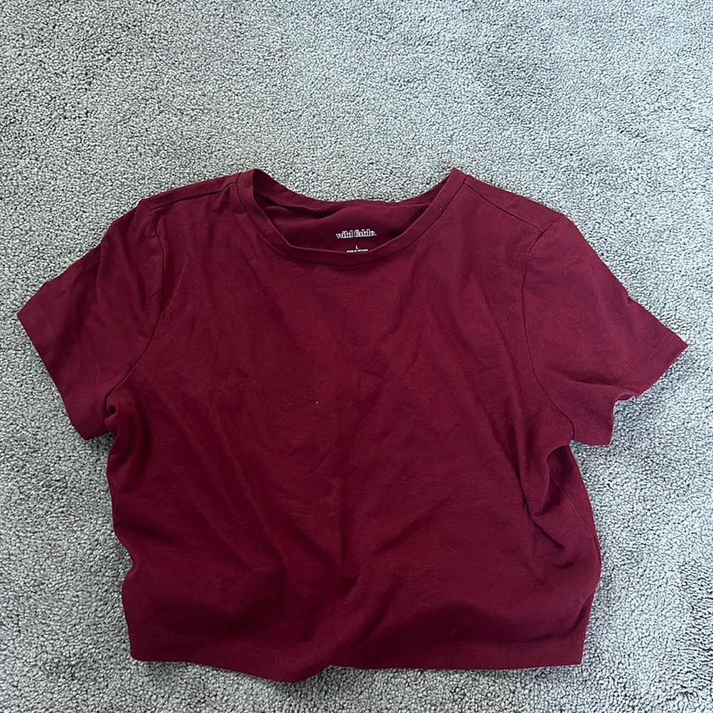 Wild fable cropped tee